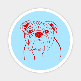 English Bulldog (Light Blue and Red) Magnet